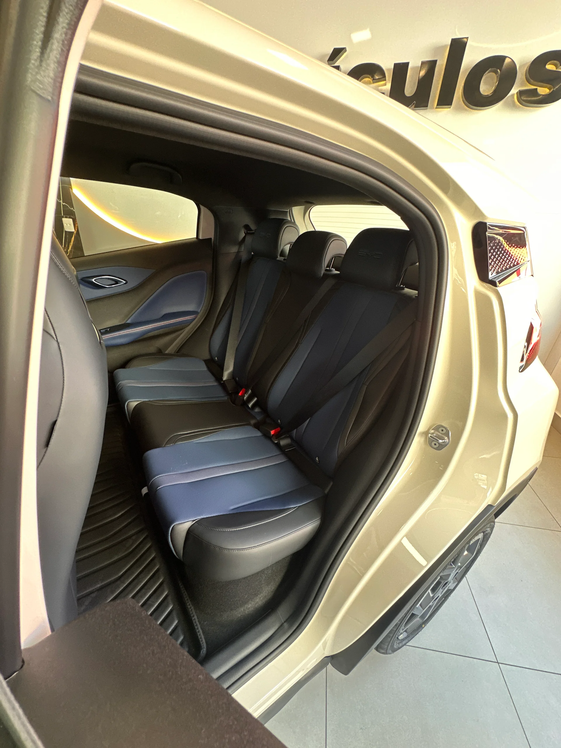 BYD Dolphin — foto 22